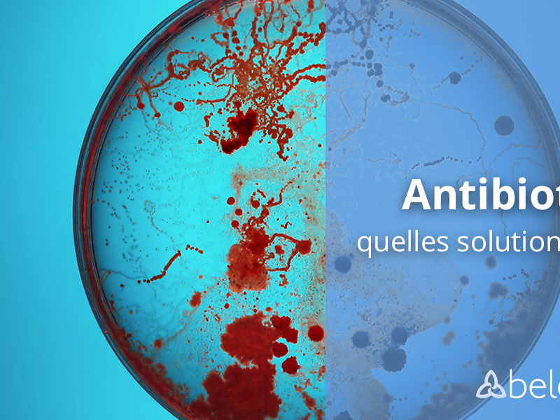 Antibiotiques Bactéries Actualité Belenos