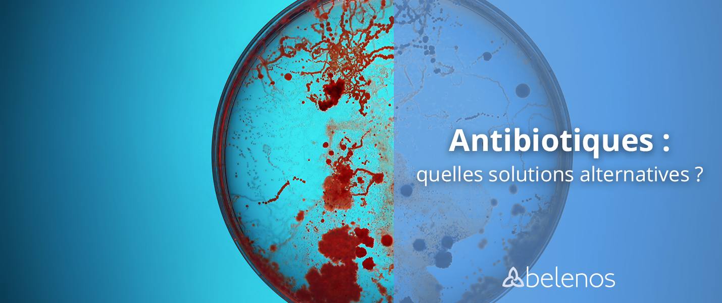 Antibiotiques : quelles solutions alternatives ?